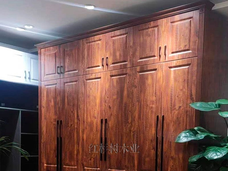 乐成案例